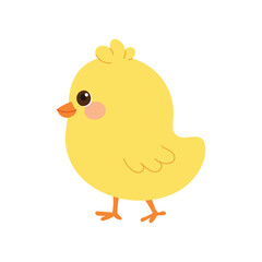 Cute baby chick standing in side view. 