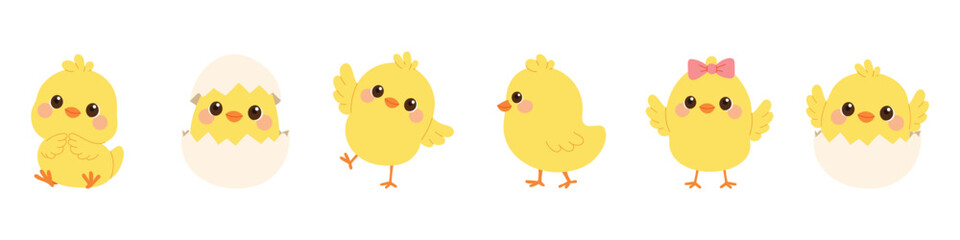 Сhick set in different poses. Little chicken hatching from egg, standing, walking and waving wings.