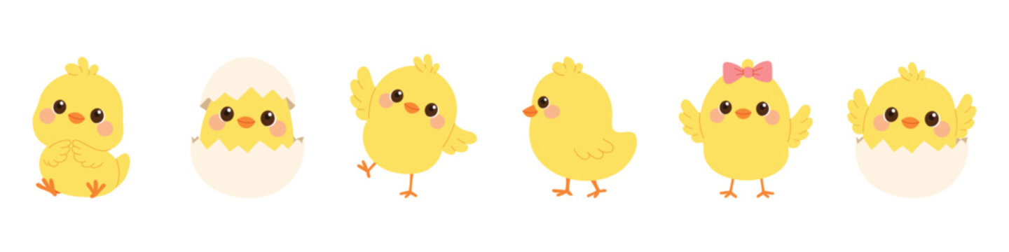 Сhick set in different poses. Little chicken hatching from egg, standing, walking and waving wings.