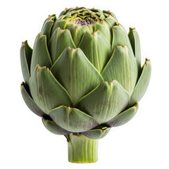 Fototapeta premium Fresh green artichoke with pointed leaves and purple tips on a black background isolated on a transparent background
