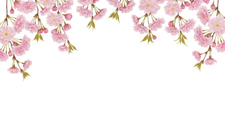 Soft Pink Cherry Blossom Border on White Background &mdash; Elegant, Romantic, Spring-Inspired &mdash; Ideal for Wedding Invitations, Greeting Cards, or Seasonal Branding.
