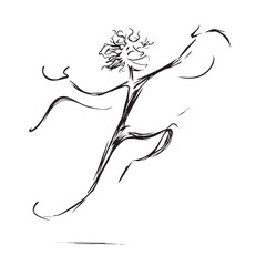 Happy excited cheerful young man jumping and celebrating success isolated on a white background. Continuous line drawing. Vector monochrome, drawing by lines.