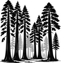 Black silhouette of towering pine forest with giant redwood trees on white background for nature design © Masud