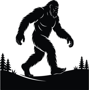 Bigfoot Sasquatch silhouette walking through the forest with pine trees on white background for outdoor design