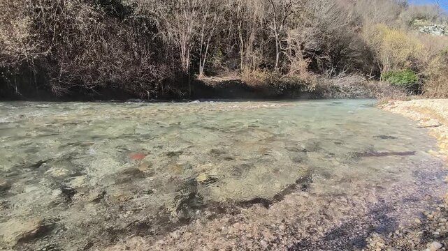 Fiume Aniene presso Trevi nel Lazio - Frosinone - Lazio - Parco Naturale Regionale dei Monti Simbruini