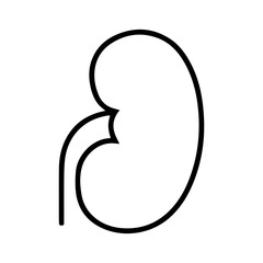Single human kidney line icon for medical and anatomy education