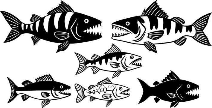 Black and white vector art of aggressive piranha fish with sharp teeth in varied sizes swimming isolated on white background
