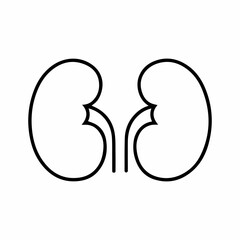 Human kidney pair line icon for medical clinic and anatomy education