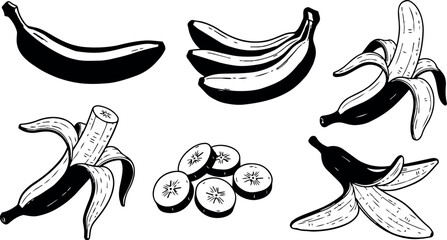 Black and white hand drawn banana peel sliced banana bunch and peeled bananas vector art set in vintage style