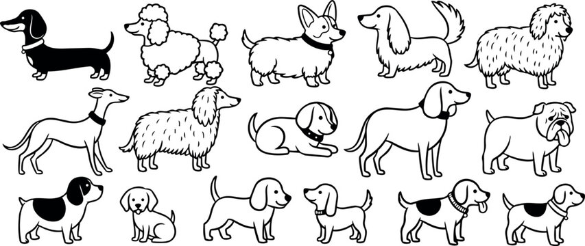 Line art flat vector sheet of assorted dog breeds in side view and sitting poses on white background playful layout
