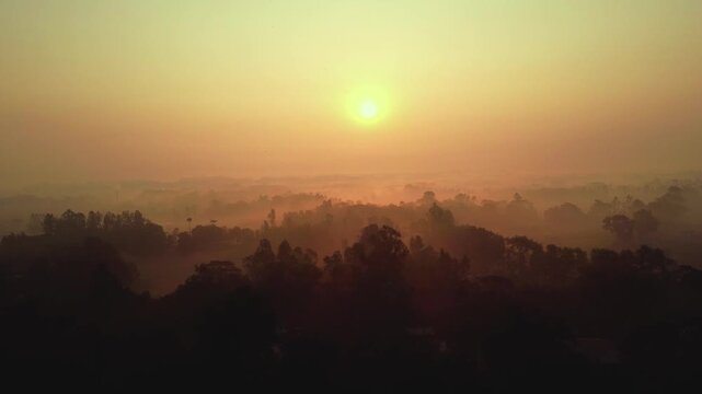 Ethereal Morning Mist Over Rural Forest at Sunrise in Bangladesh 4k