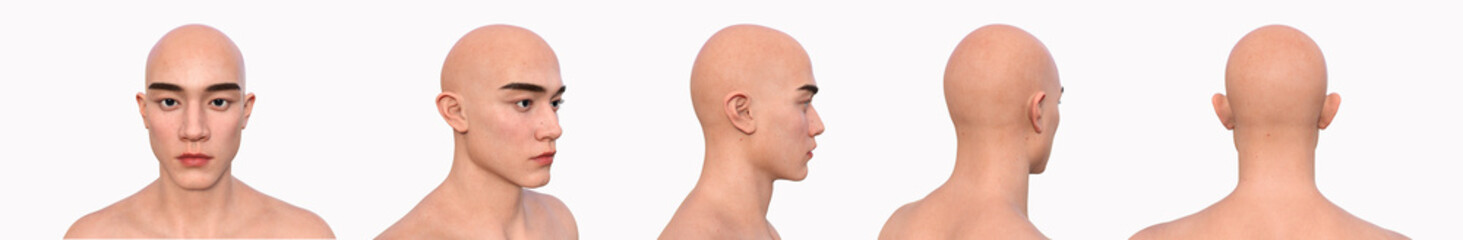 Head, 3D illustration
