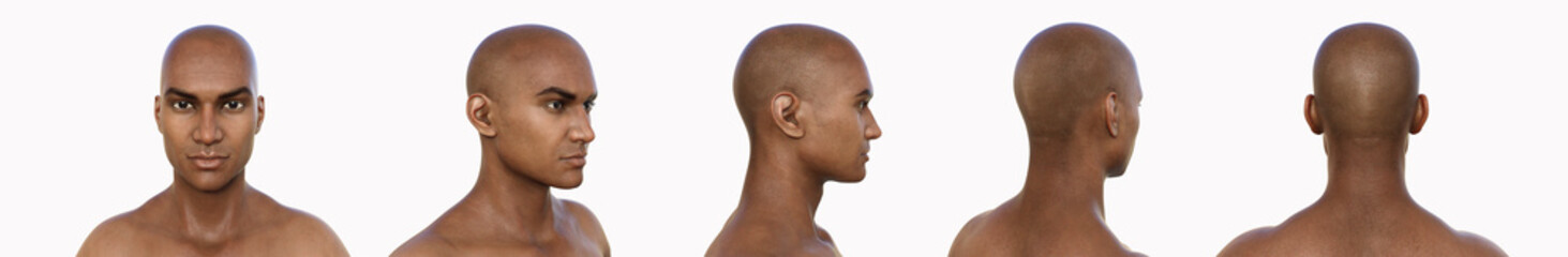 Head, 3D illustration
