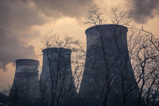 Cooling towers at Artyom power station in Russia Primorye, silhouetted by leafless trees and industrial haze.
