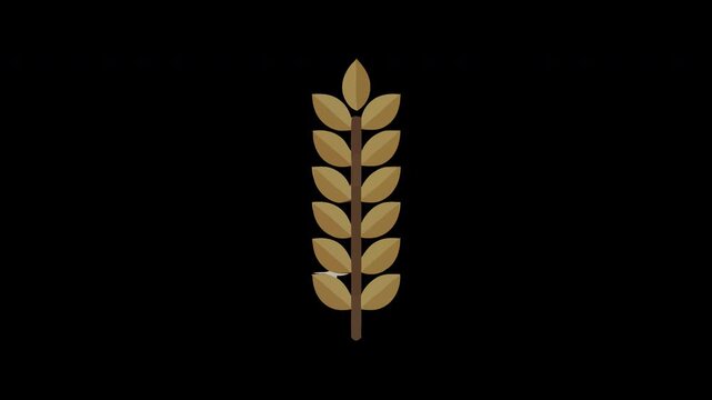 Golden ear of wheat on a black background representing agriculture and the harvest season