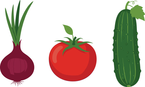 Fresh vegetables collection with onion tomato and cucumber isolated healthy food vector illustration