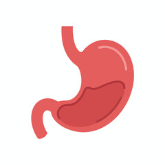 Obraz premium Human Stomach Anatomy Illustration