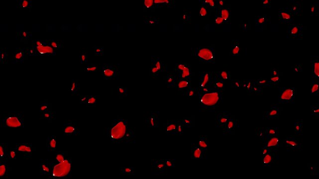 Falling Rose Petals with Alpha Channel(2)舞い落ちるバラの花びら動画素材（アルファチャンネル付き）