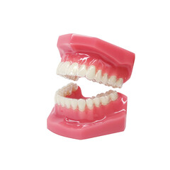 Obraz premium インビザライン マウスピース矯正 イラスト リアル