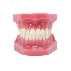 Obraz premium インビザライン マウスピース矯正 イラスト リアル