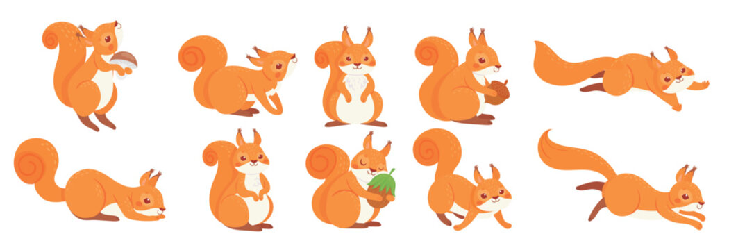 Cartoon squirrel cute squirrels with red furry tail 
