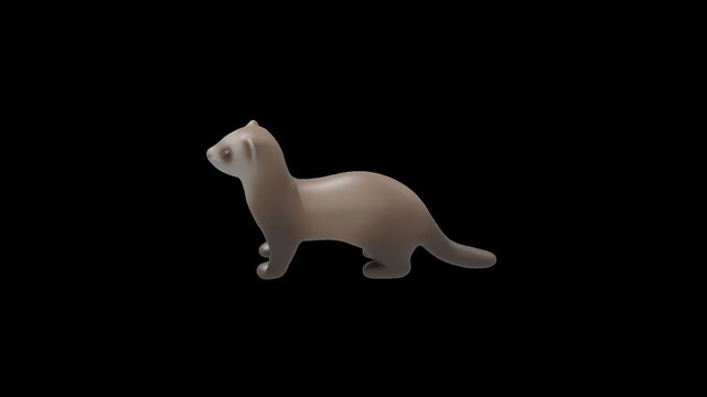 Seamless loop of ferret. Isolated with Alpha Channel.
