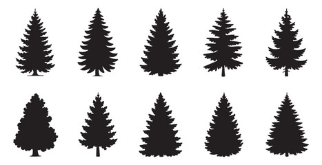 Various coniferous trees in silhouette for winter forest and nature design elements © MOST AKTER