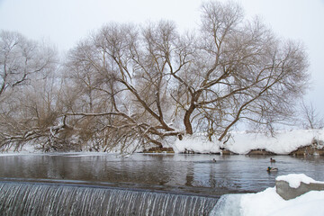 Beautiful river with waterfall in snowy winter