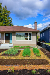 Green sprouts on garden patches in front of residential house