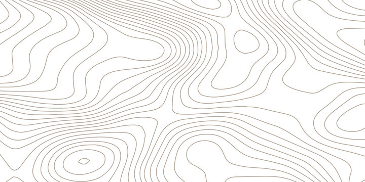 White wave paper curved reliefs abstract background with black and white topographic contour lines, vector geographic elevation and organic flowing terrain in a minimalist vector map design