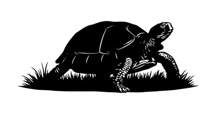 turtle silhouette, sea turtle silhouette, reptile silhouette, animal silhouette, marine animal, ocean animal, sea life, underwater animal, aquatic reptile, shell animal, flipper animal, slow animal, t © mrpixel
