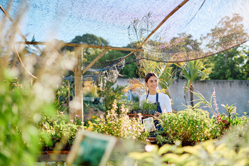 Young female gardener carrying a tray of small plants in an outdoor garden center, showcasing dedication to floriculture © we.bond.creations