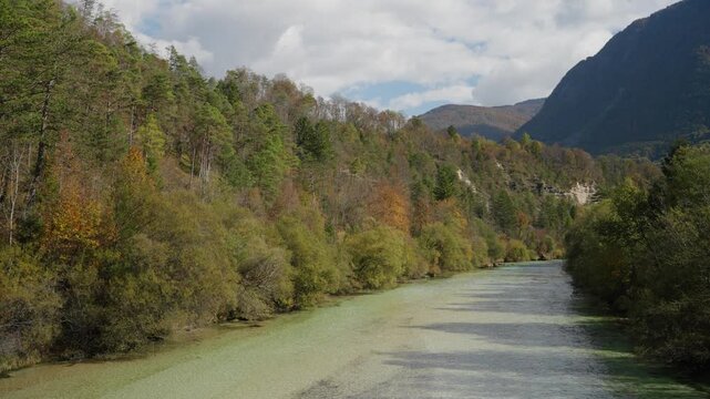 Soca River Flows Through Triglav National Park Dense Forest In Bovec, Slovenia. - wide shot