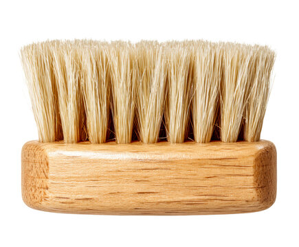 Wooden cleaning brush with dense natural bristles and a light wood grain handle is photographed in a clean, minimalist style from a side view perspective