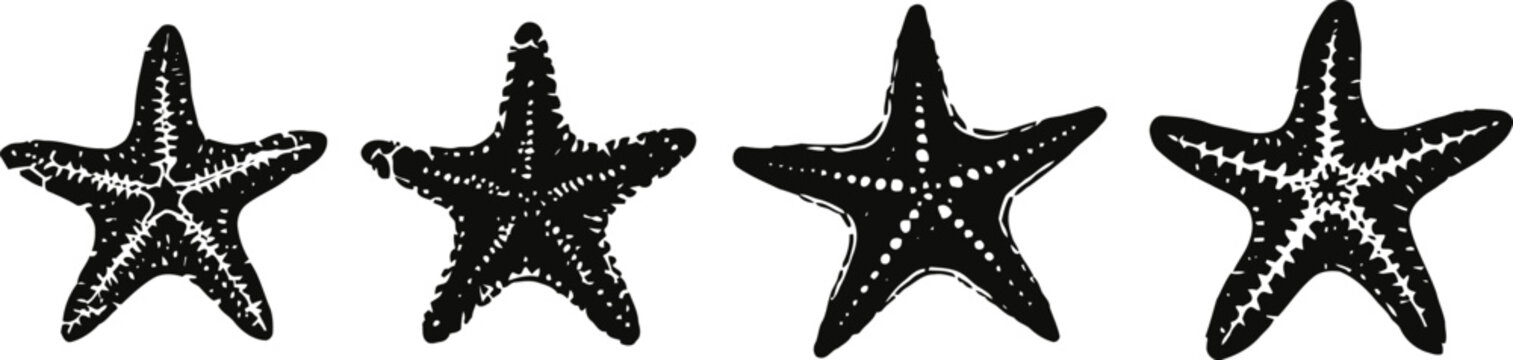 Black starfish silhouettes with white dotted patterns on white background