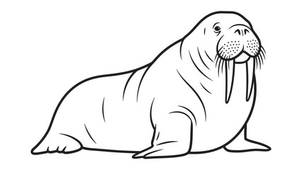 Fototapeta premium Monochromatic Marine Majesty: A striking line drawing showcases the robust form of a walrus. It offers a clean and artistic study of this iconic sea creature. 