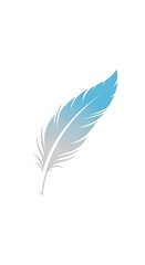 Obraz premium Blue and gray feather drifts on white background.