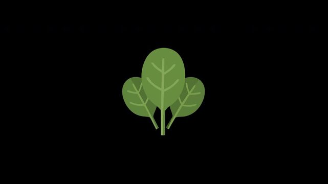 Fresh green spinach leaves illustration, a simple and healthy vegetable graphic element for nutrition, cooking, and healthy lifestyle designs