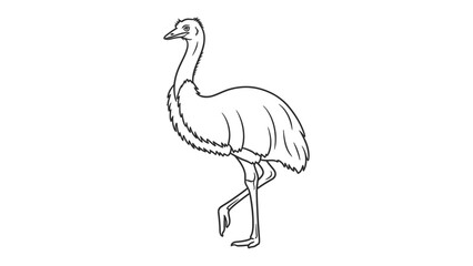 Fototapeta premium Emu illustration: A simple sketch of an emu, a tall, flightless bird native to Australia, captured with clean lines and a minimalist aesthetic.
