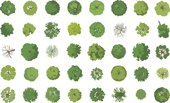 Mega collection of 40 realistic tree top view illustrations for landscape design, flat vector vegetation icons for park maps, garden layout and nature environment.