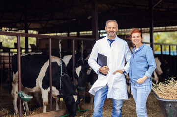 Fototapeta premium Veterinarian and female farmer standing dairy barn and looking at camera.
