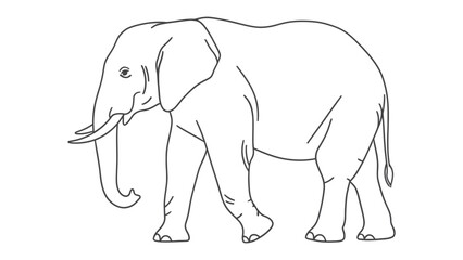 Fototapeta premium Majestic Elephant Illustration: An elegant line drawing of a towering elephant, its form gracefully captured with bold, flowing strokes, perfect for adding a touch of the wild to any project.