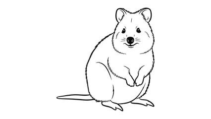 Fototapeta premium Quokka Sketch: A charming illustration of a quokka, depicted with simple lines. The drawing highlights the cute features of the animal, conveying approachability and appeal.