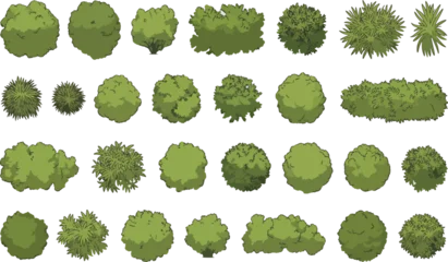 Fototapeten Pistazie Realistic green bush and shrub vector illustrations for landscape design.  © NexThread