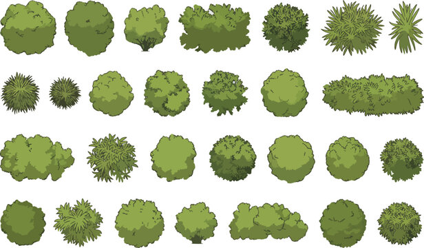 Realistic green bush and shrub vector illustrations for landscape design.