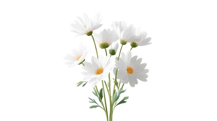 Fototapeta premium A vibrant arrangement of fresh white daisy flowers featuring bright yellow centers and verdant green foliage presented against a stark white backdrop for a clean natural aesthetic