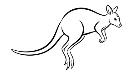 Fototapeta premium Jumping Kangaroo: An animated, simple yet elegant line art of a dynamic kangaroo, showcasing its agility and iconic hopping pose.