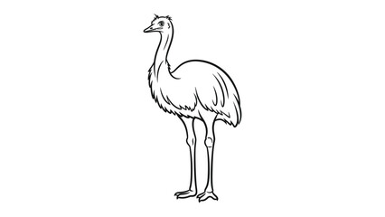 Obraz premium Emu Silhouette: A minimalist black and white sketch of an emu, highlighting its unique form and elegant posture. 