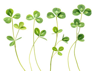 st patricks day background