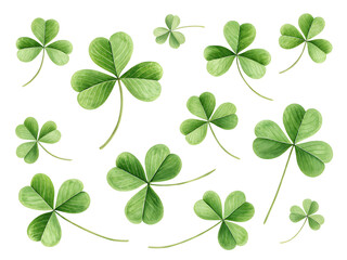 four leaf clover background
